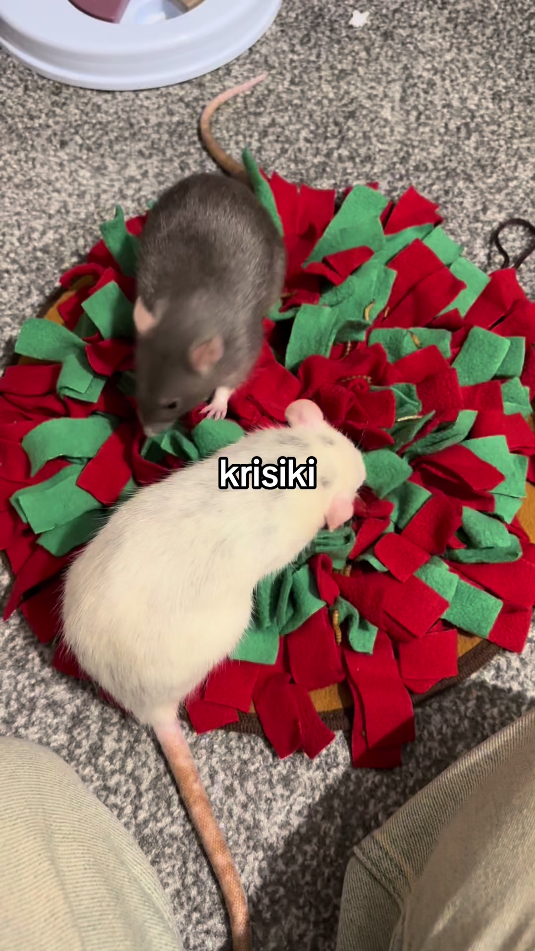 @kor14kaaa