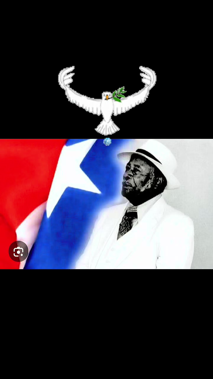 @Domadera Designs
