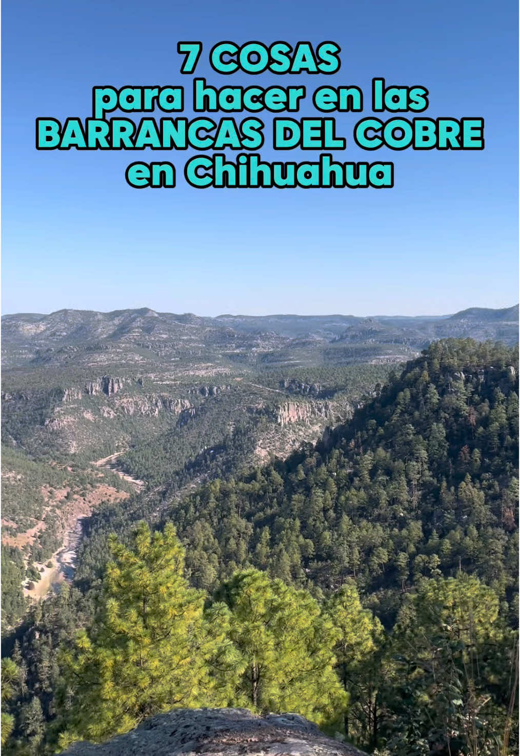 @Duo de Huellas
