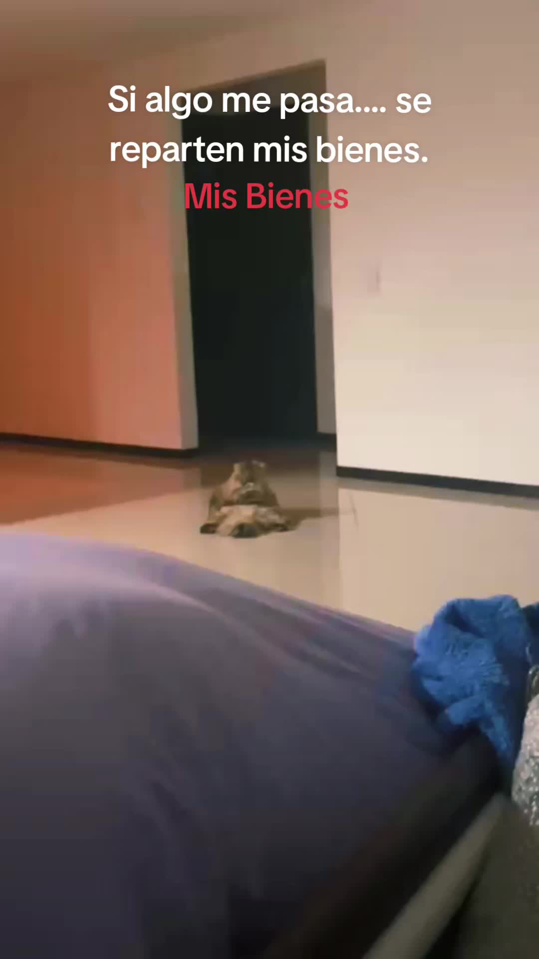 @Luna