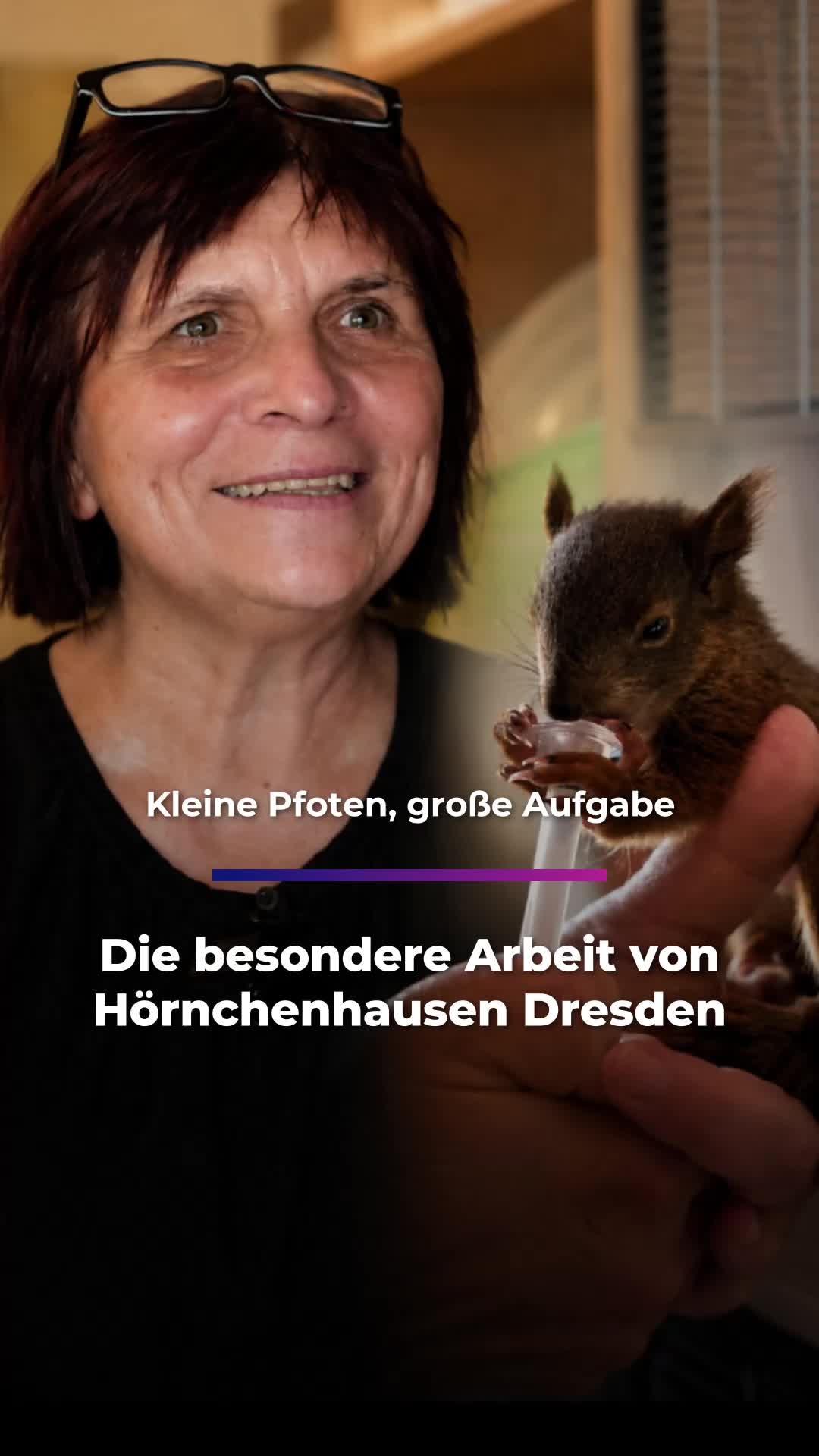 @Sachsen Fernsehen
