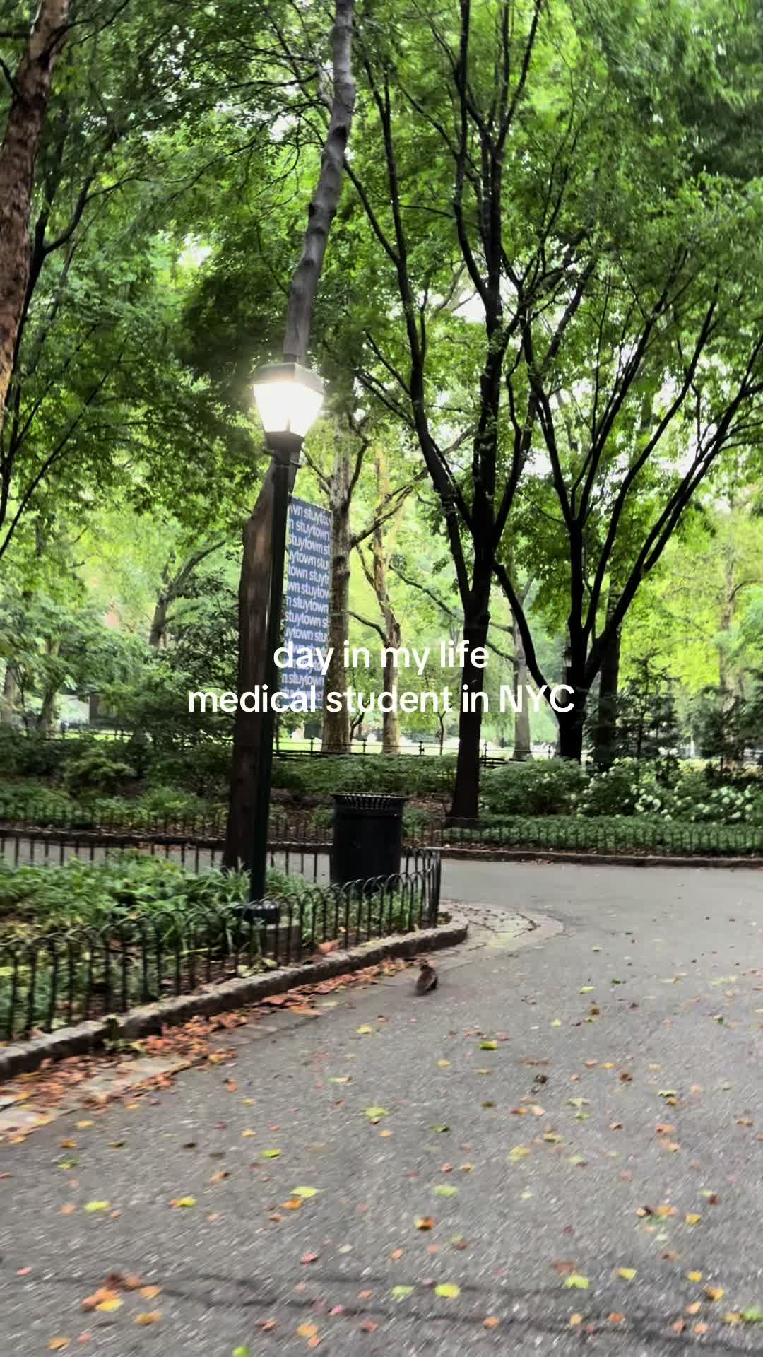@Amy Huang | MS2