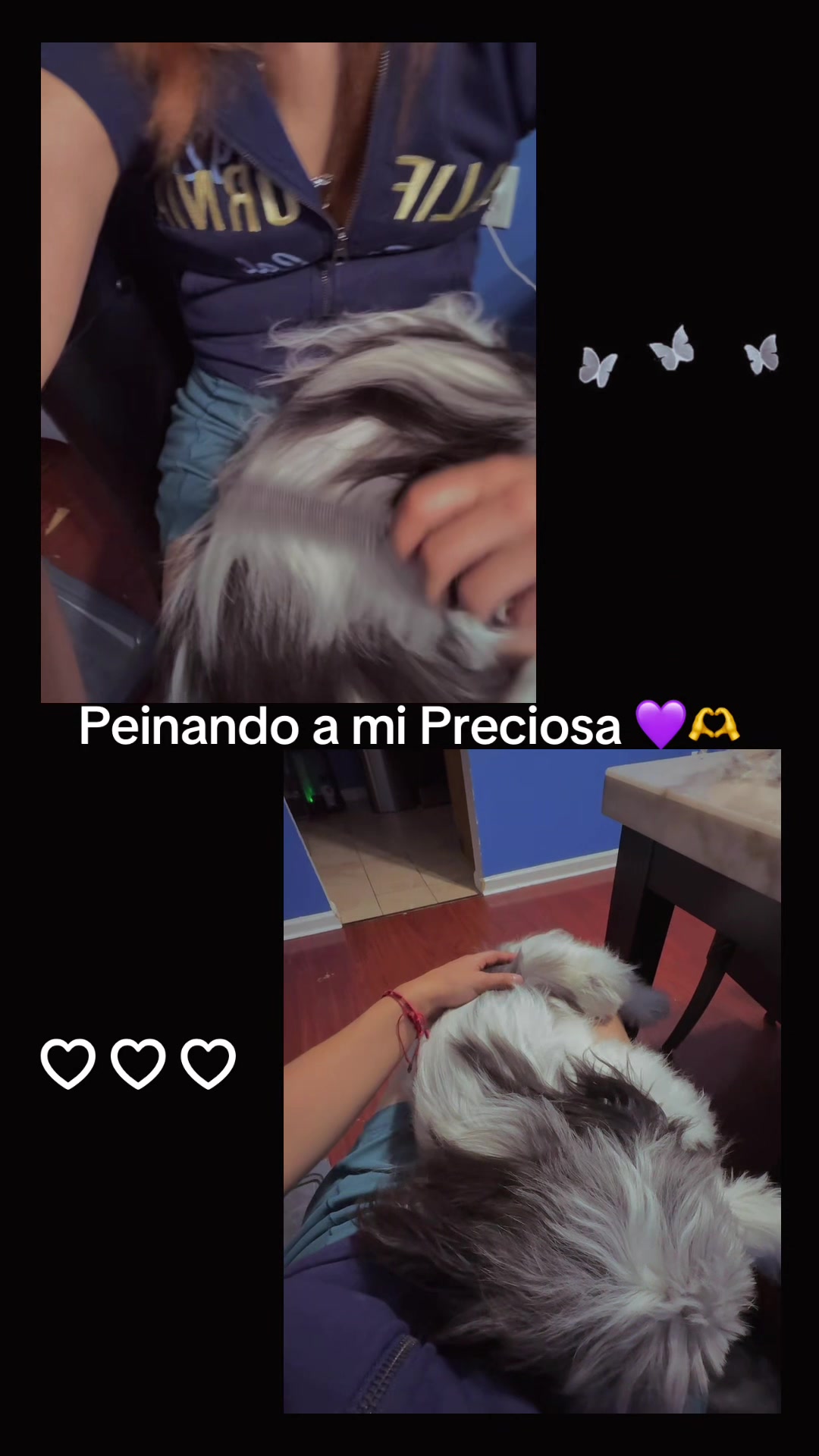 @Eu Celma