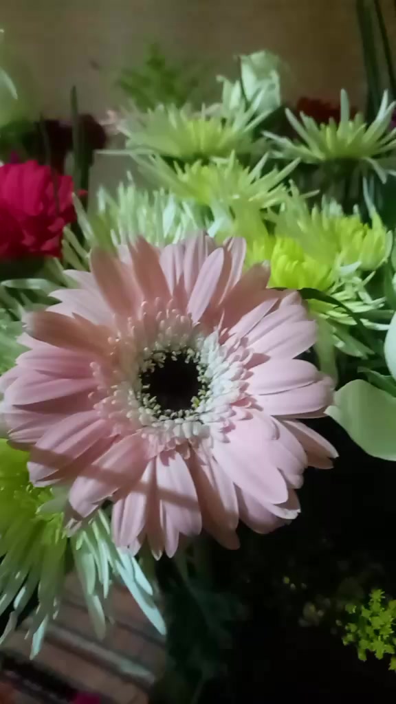 @rebecachiyal2