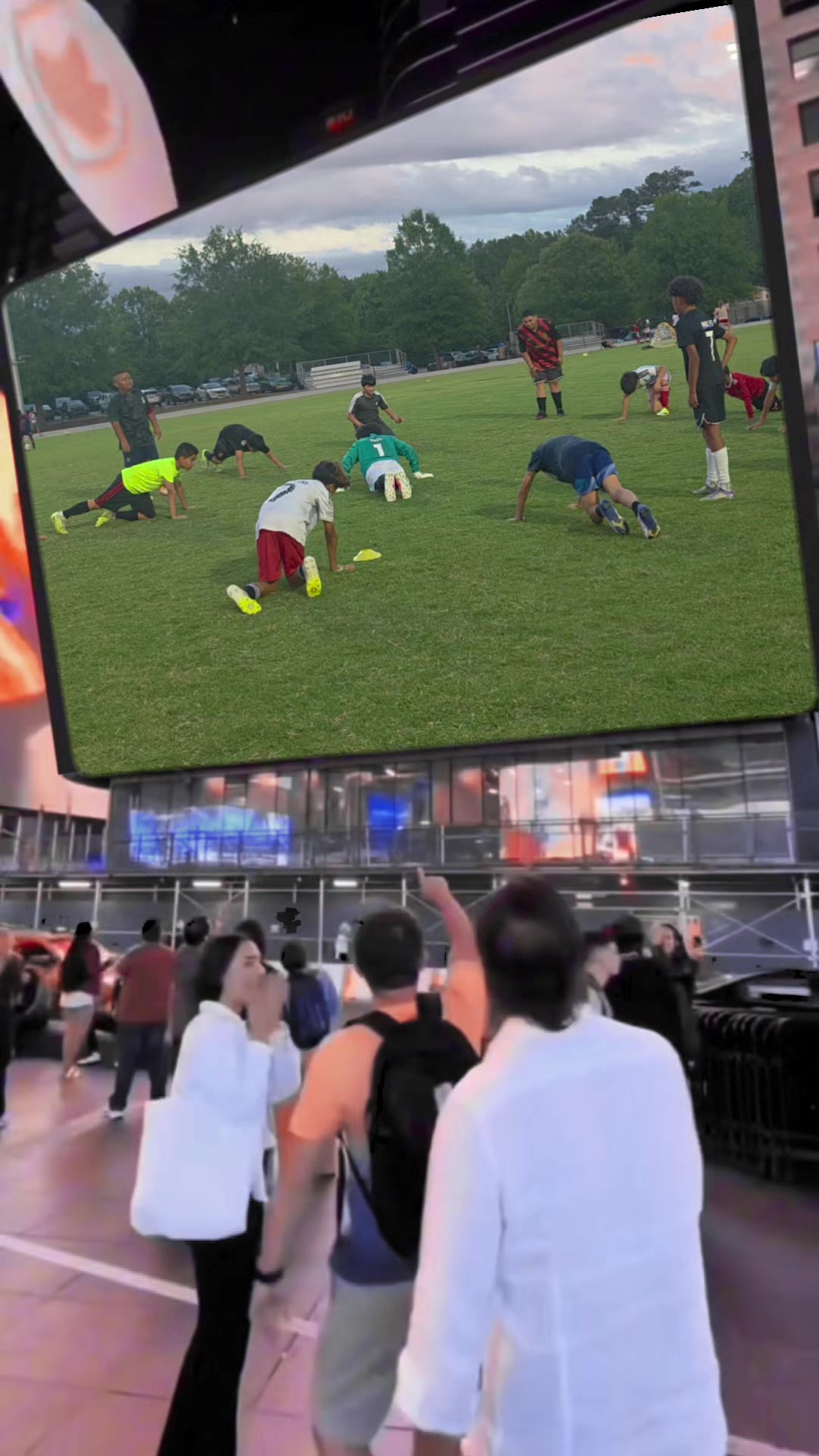 @Fénix FC