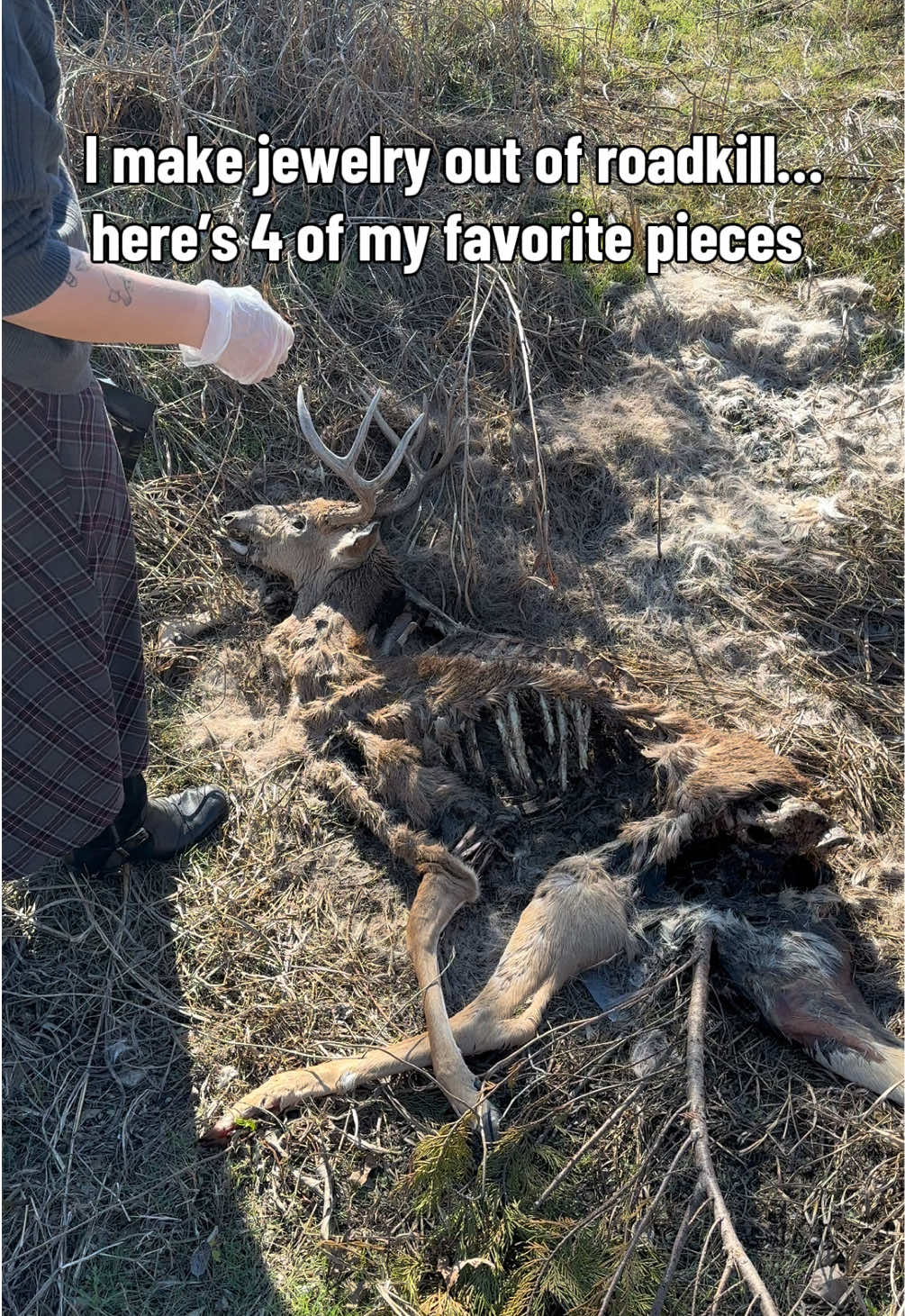 @Closet&ensp;Of&ensp;Skeletons