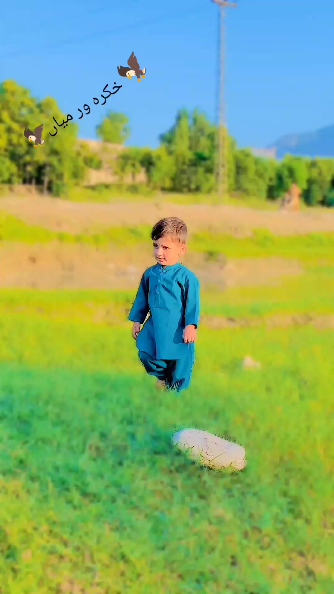 @🦁میاں،جی ،،سیعد، 🦁