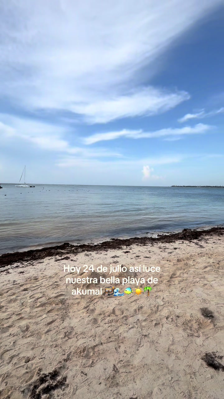 @akumal mayan vip tours
