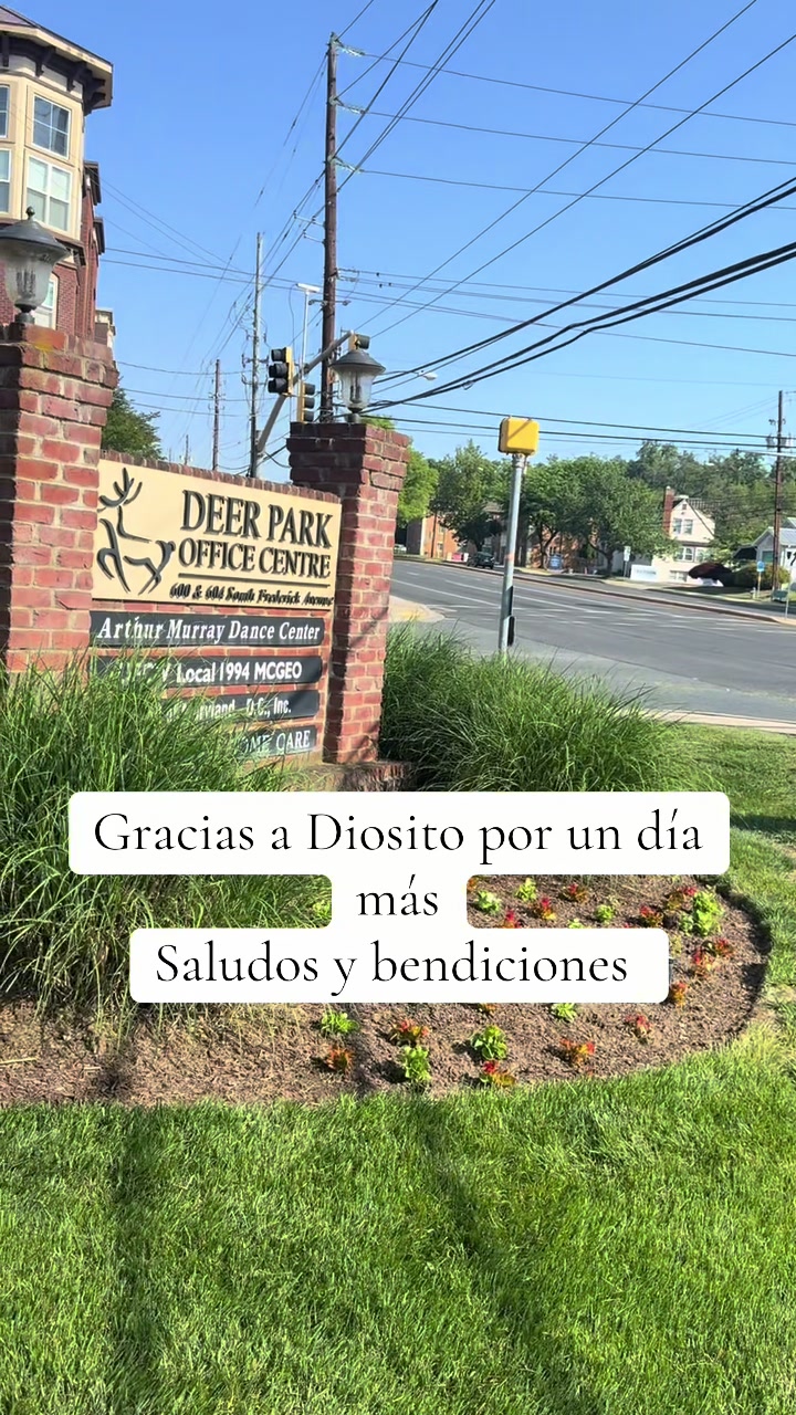 @Agusto Hernández