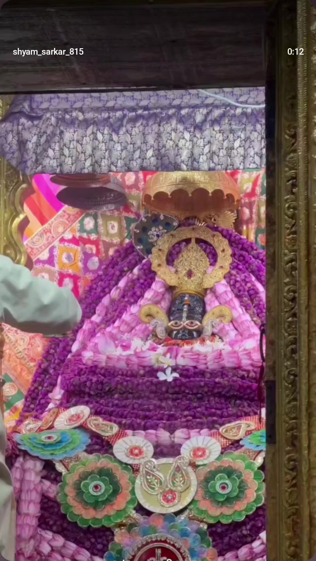@shwetajaischaurasiya