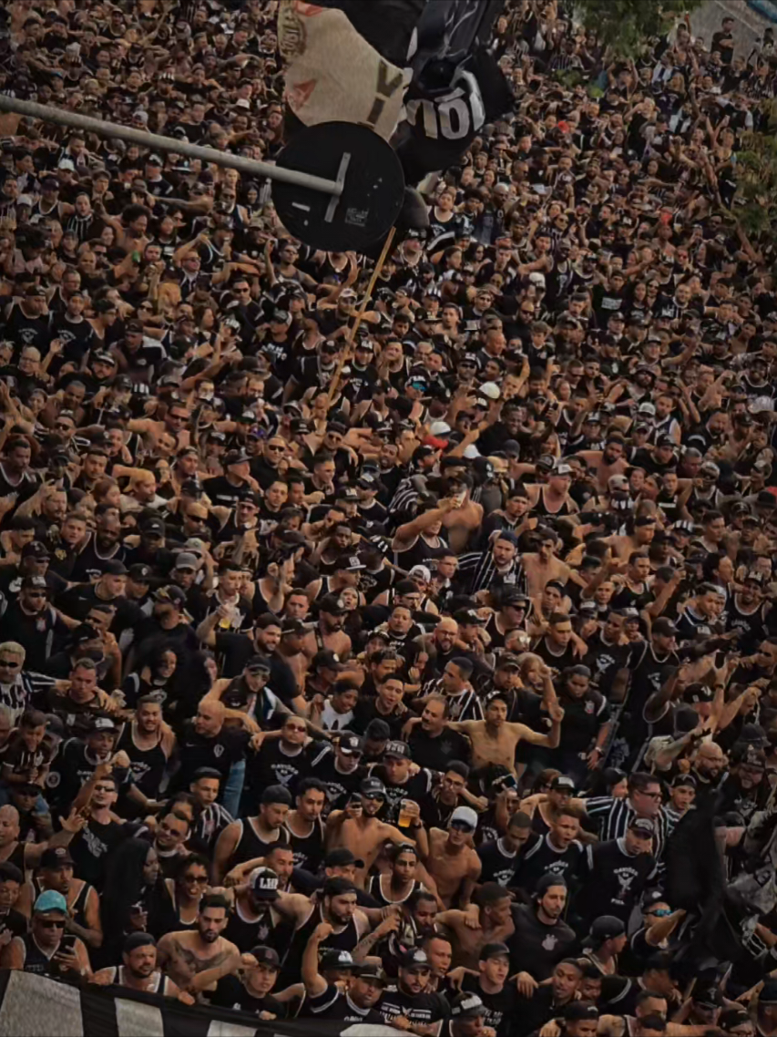 @Pedroksete 🇧🇷🦅