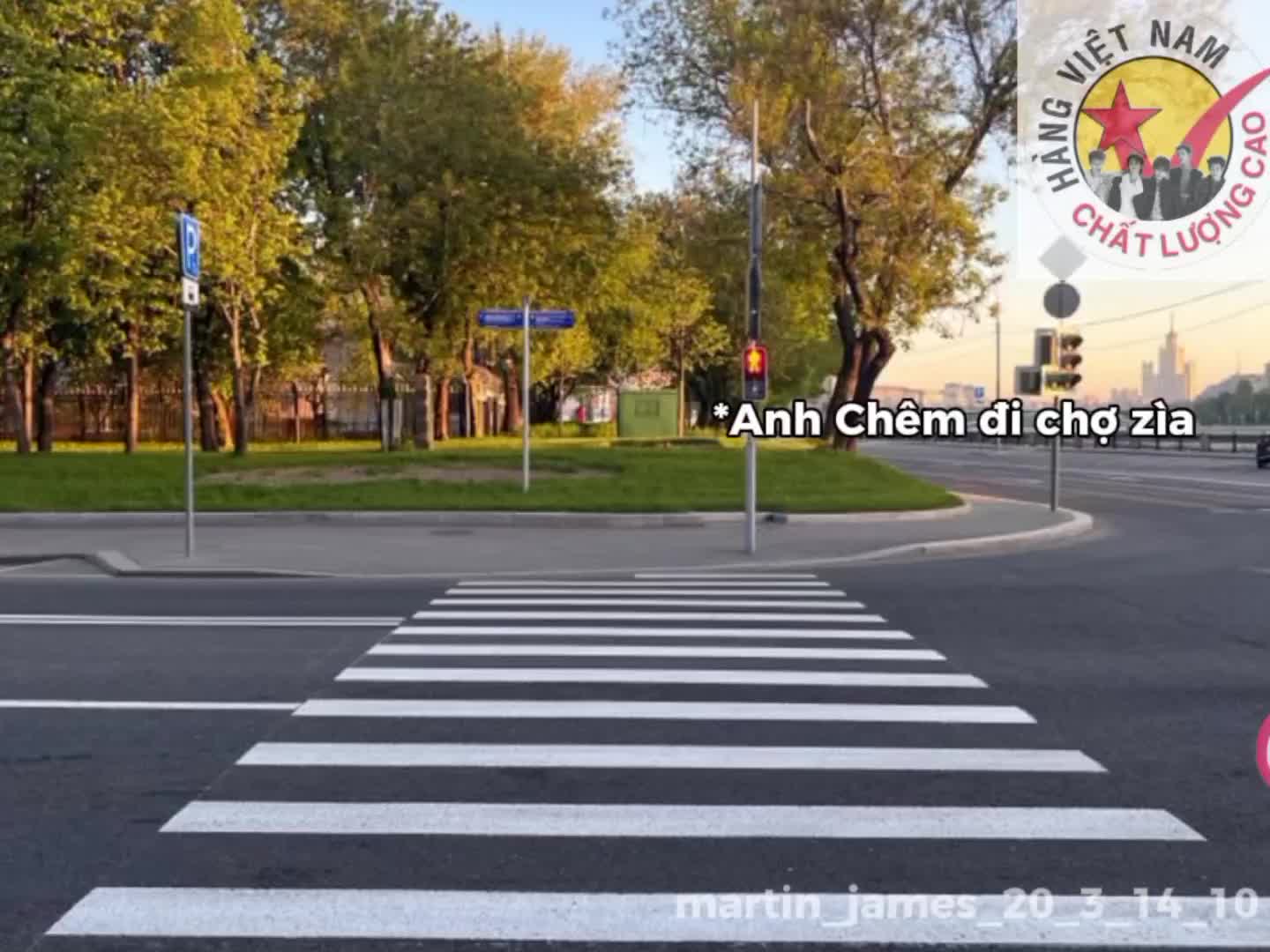 @Cỏ T&iacute;🦅🐕&zwj;🦺🐢🦊🐶