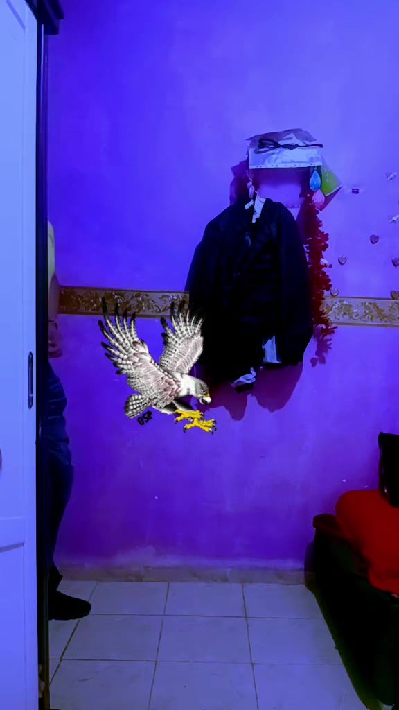 @🦅 صقر 🦅