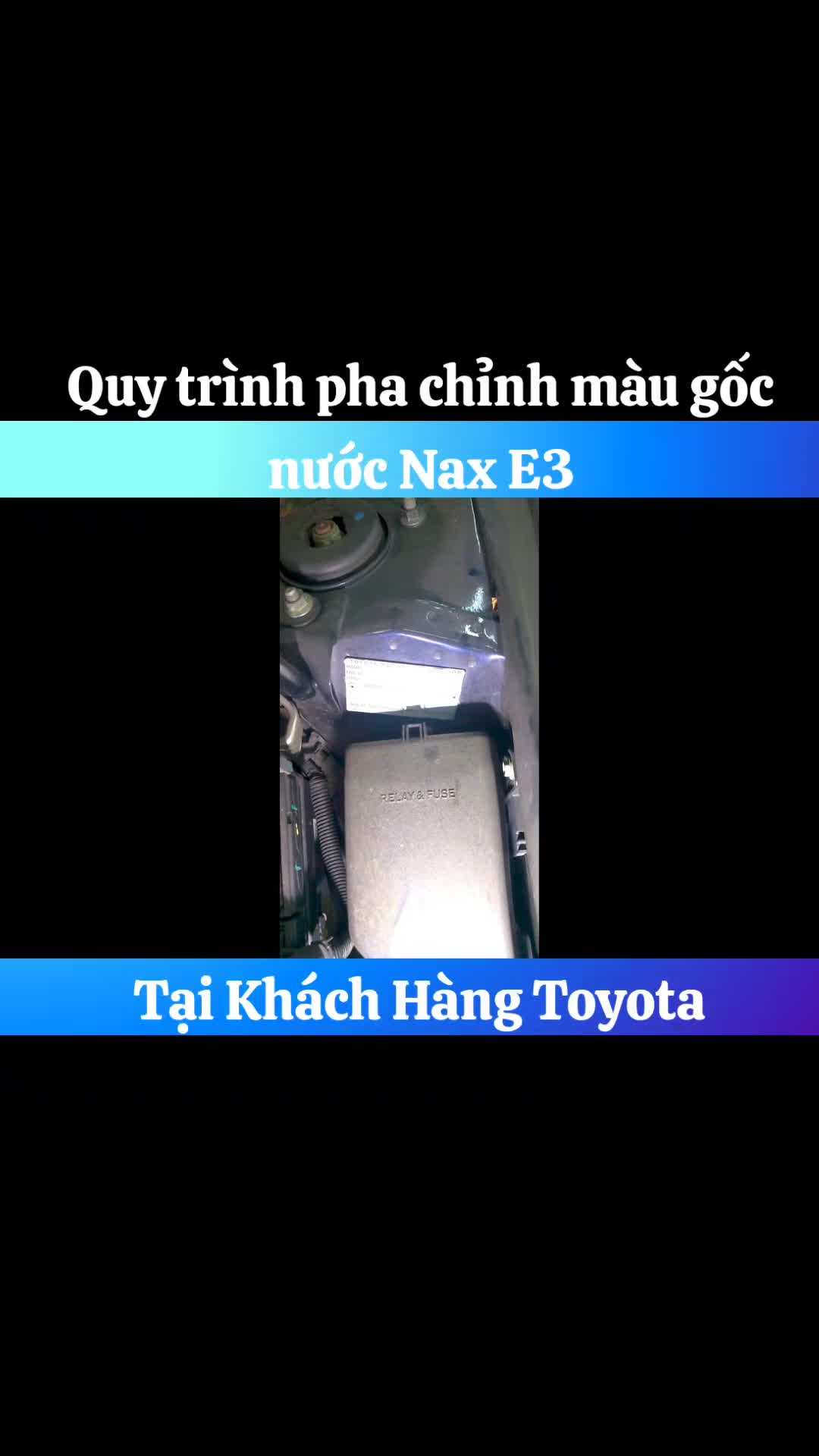 @Mr Cam - Chuyên Gia Nippon