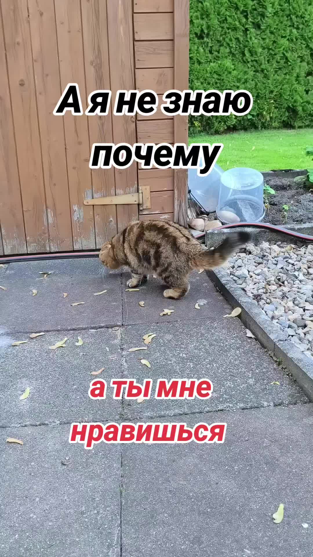 @Вл. Мел. 89
