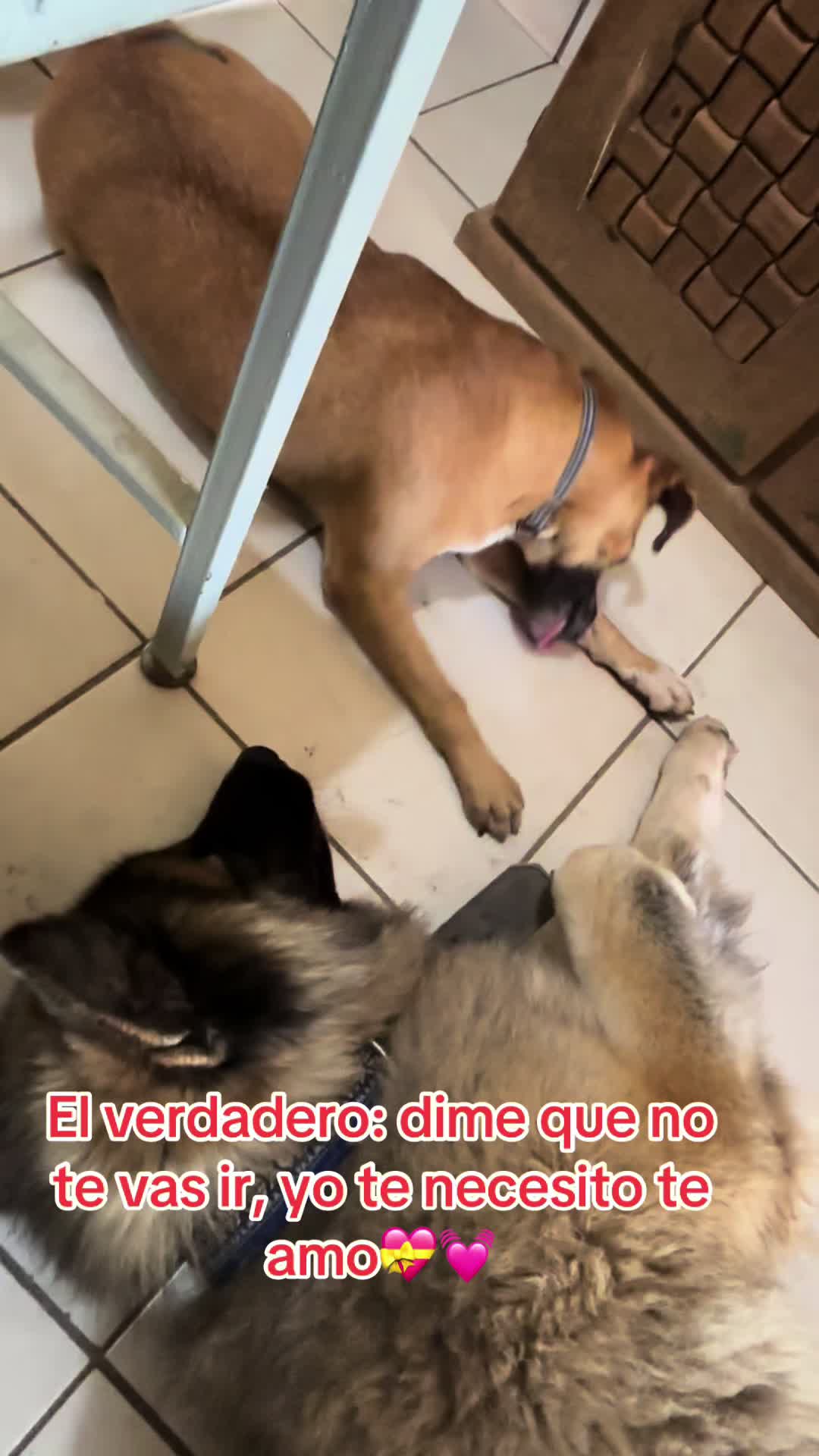 @Blanca Chavez