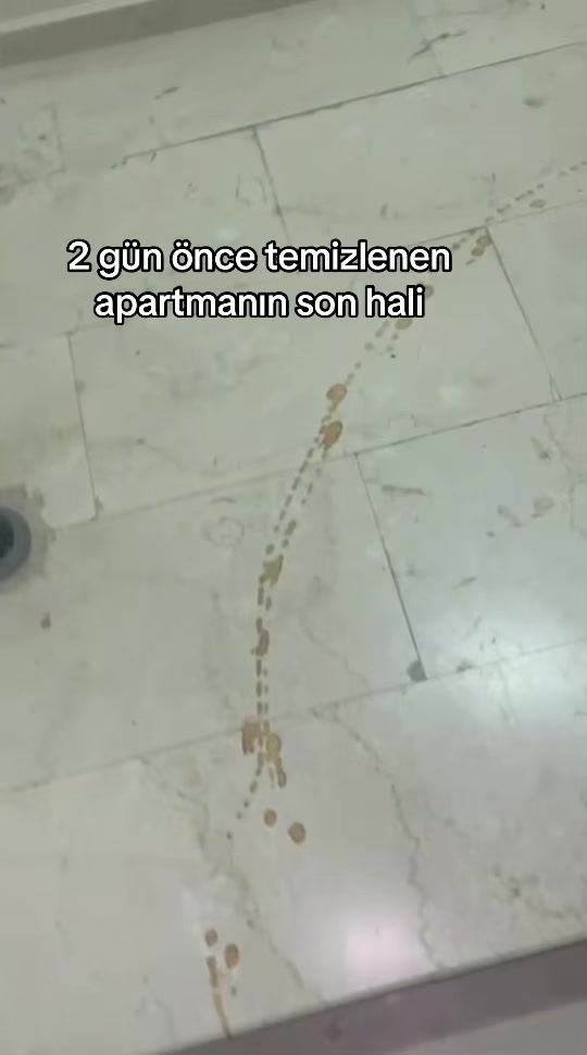 @didem_klnclar