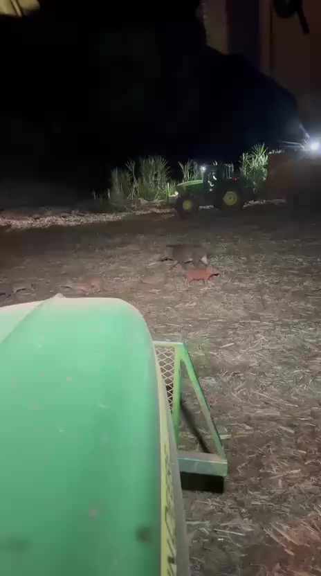 @&Iacute;NDIO  DO  AGRO 🚜🌱