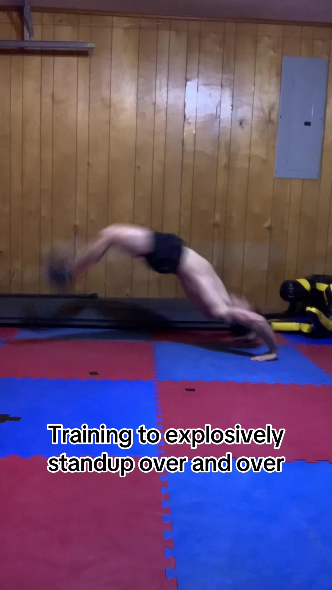@dystopianwarrior