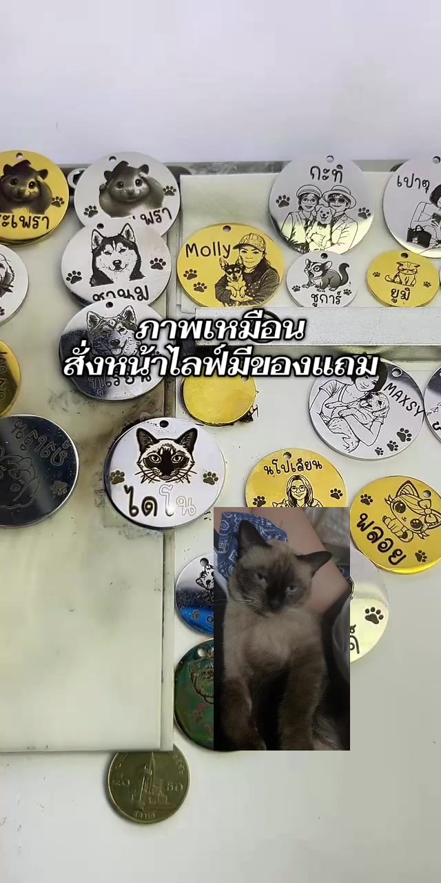 @DIYอุปกรณ์สัตว์เลี้ยง