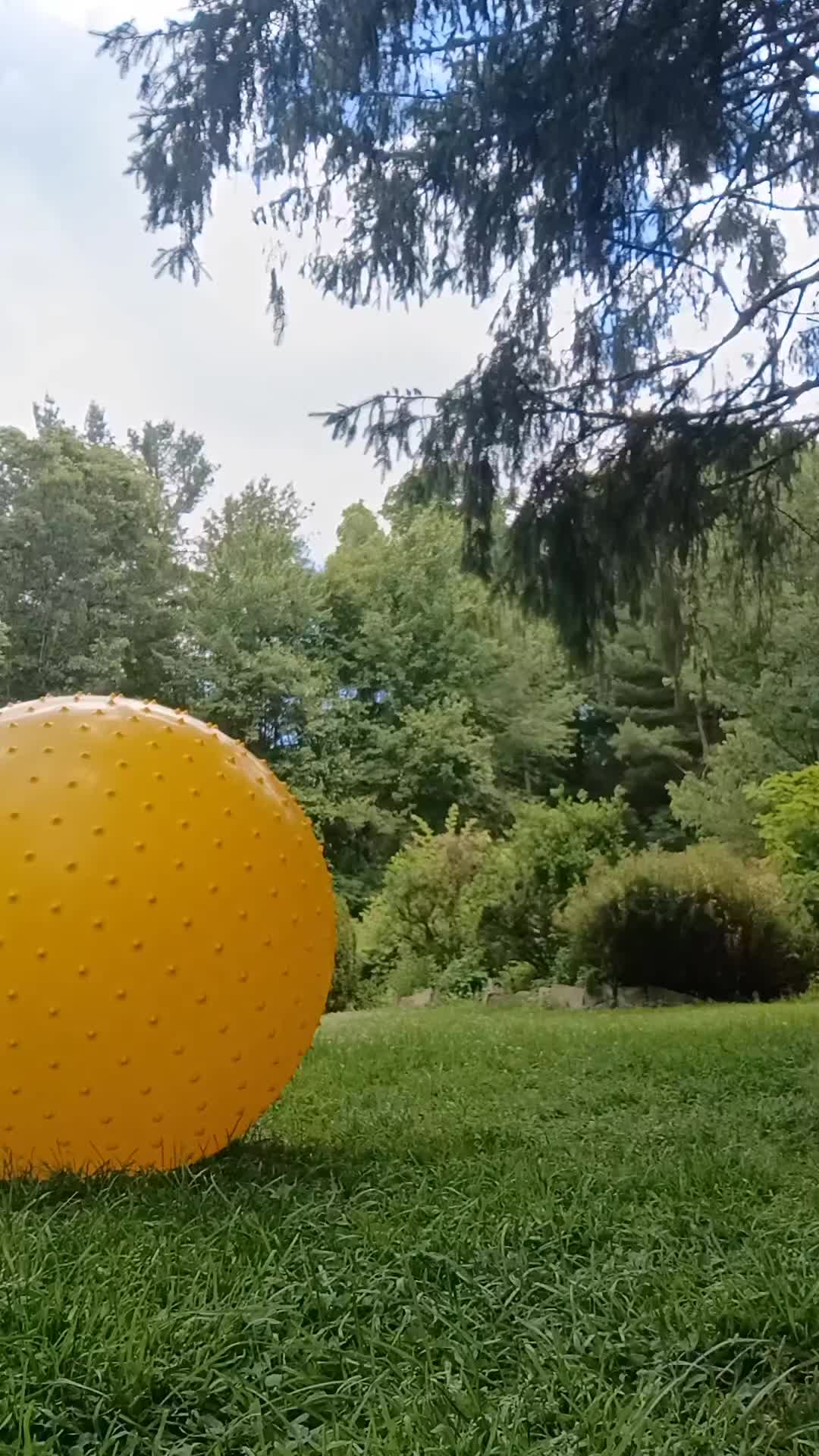 @Pro Bouncing 3823