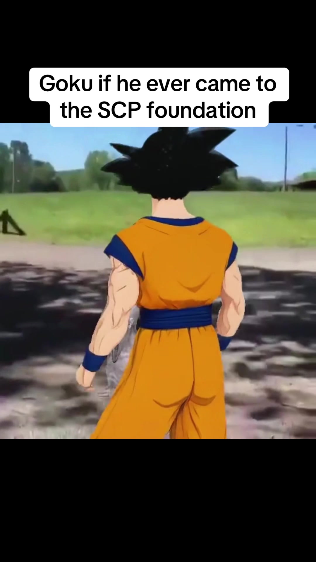 @Gokusolos