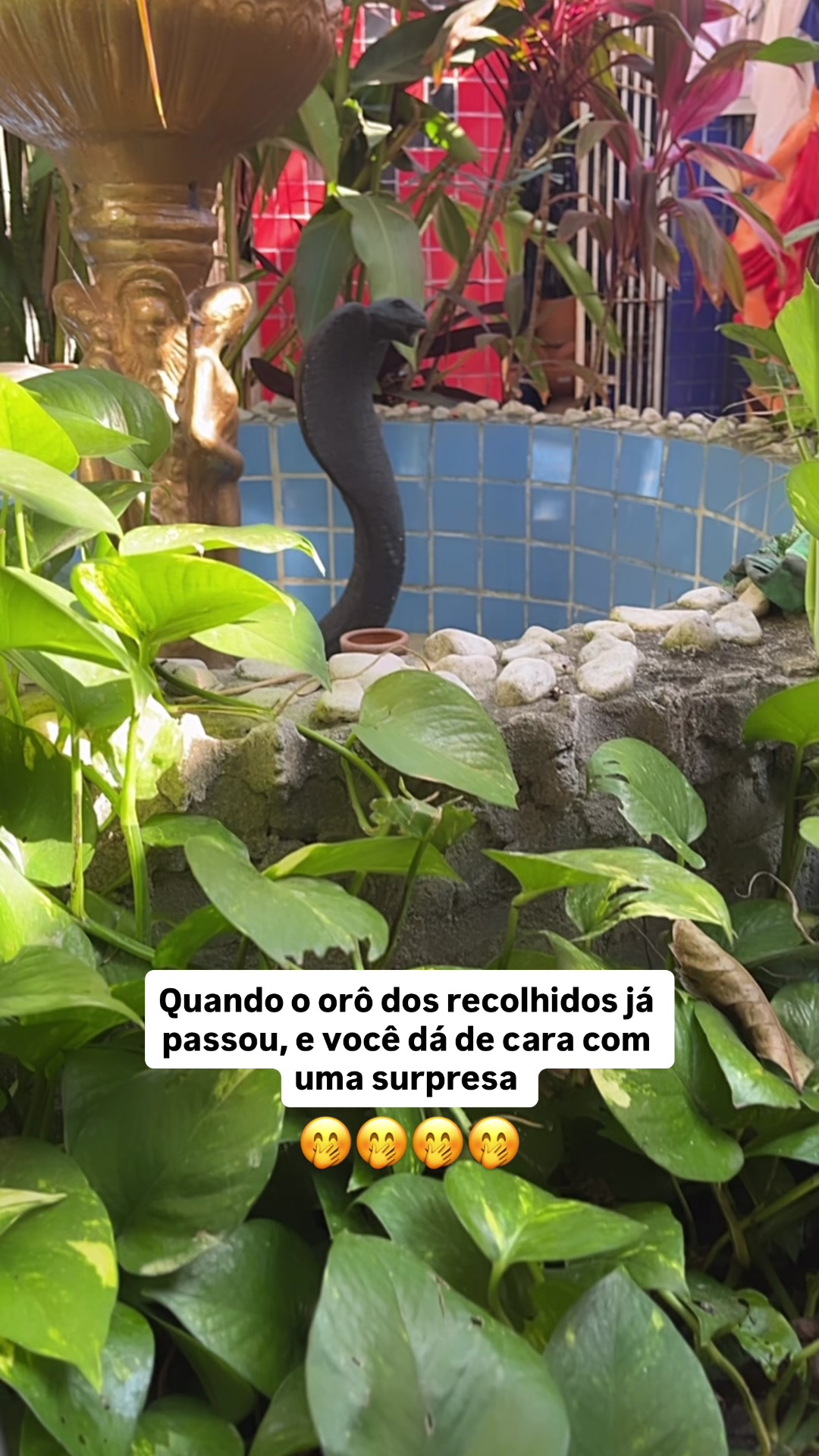 @Ekedji Y&aacute;Nyr&ecirc; ✨🩵