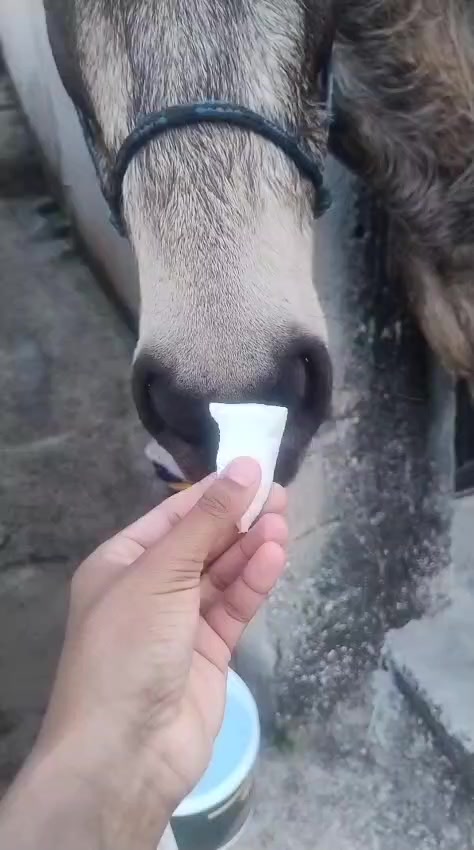 @KRN__