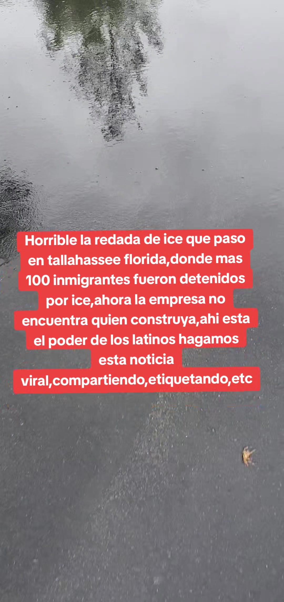 @wachimanin