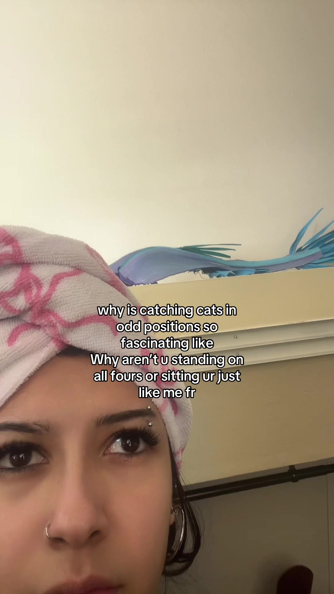 @tickle monster