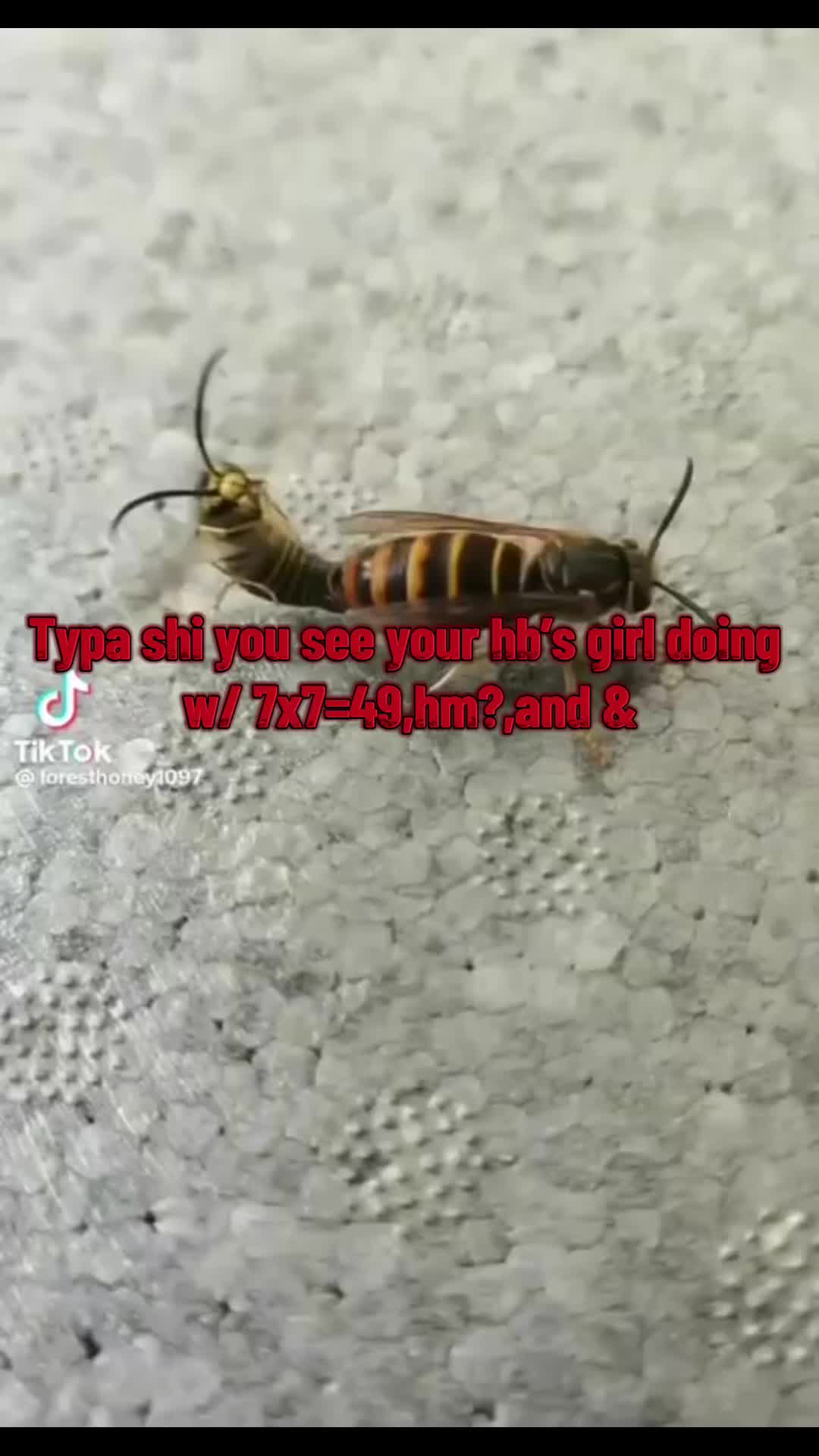 @cheezylmao