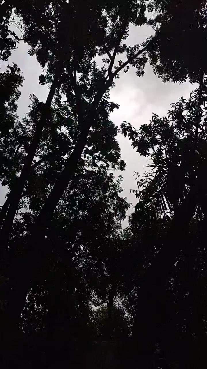 @⟭⟬♪𝐒𝐚𝐰𝐝𝐚_𝐨𝐭𝟕♡🇧🇩