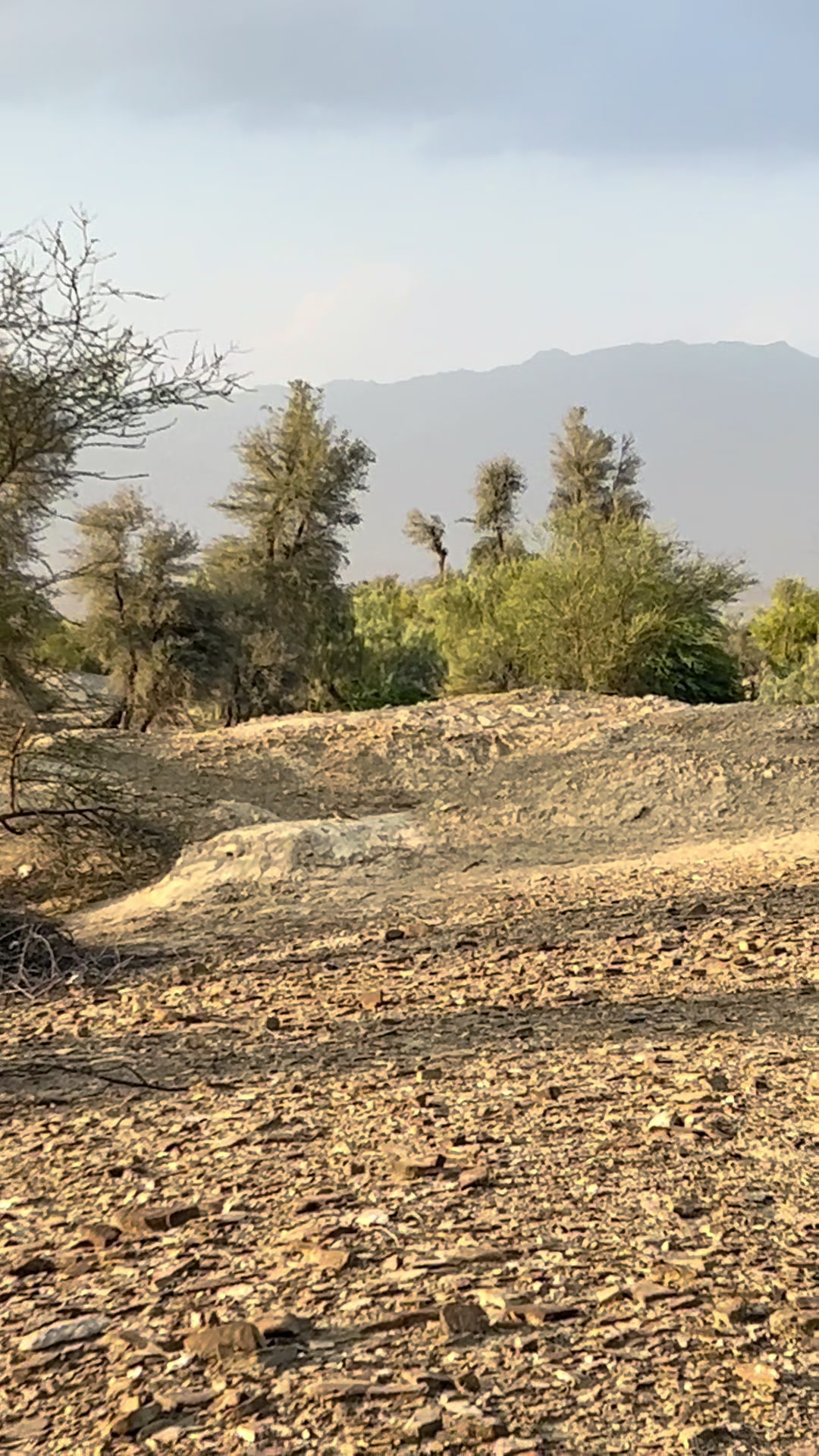 @&Yacute;usufbaluch