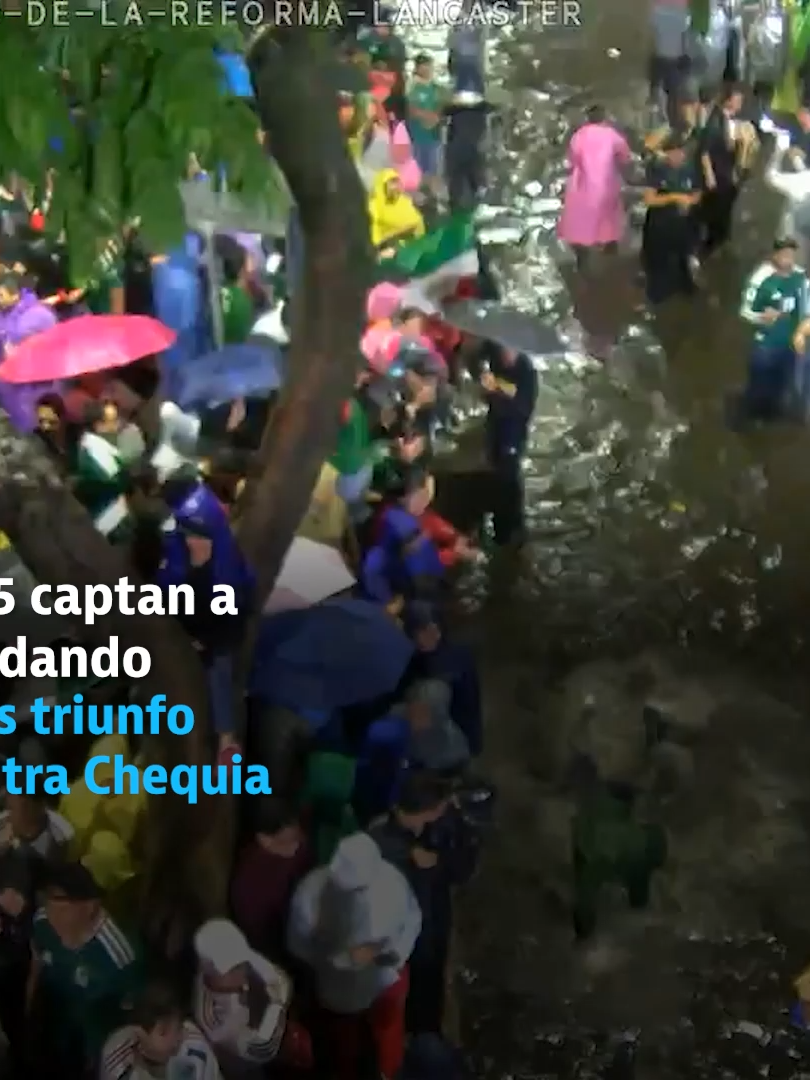 @elheraldodemexico