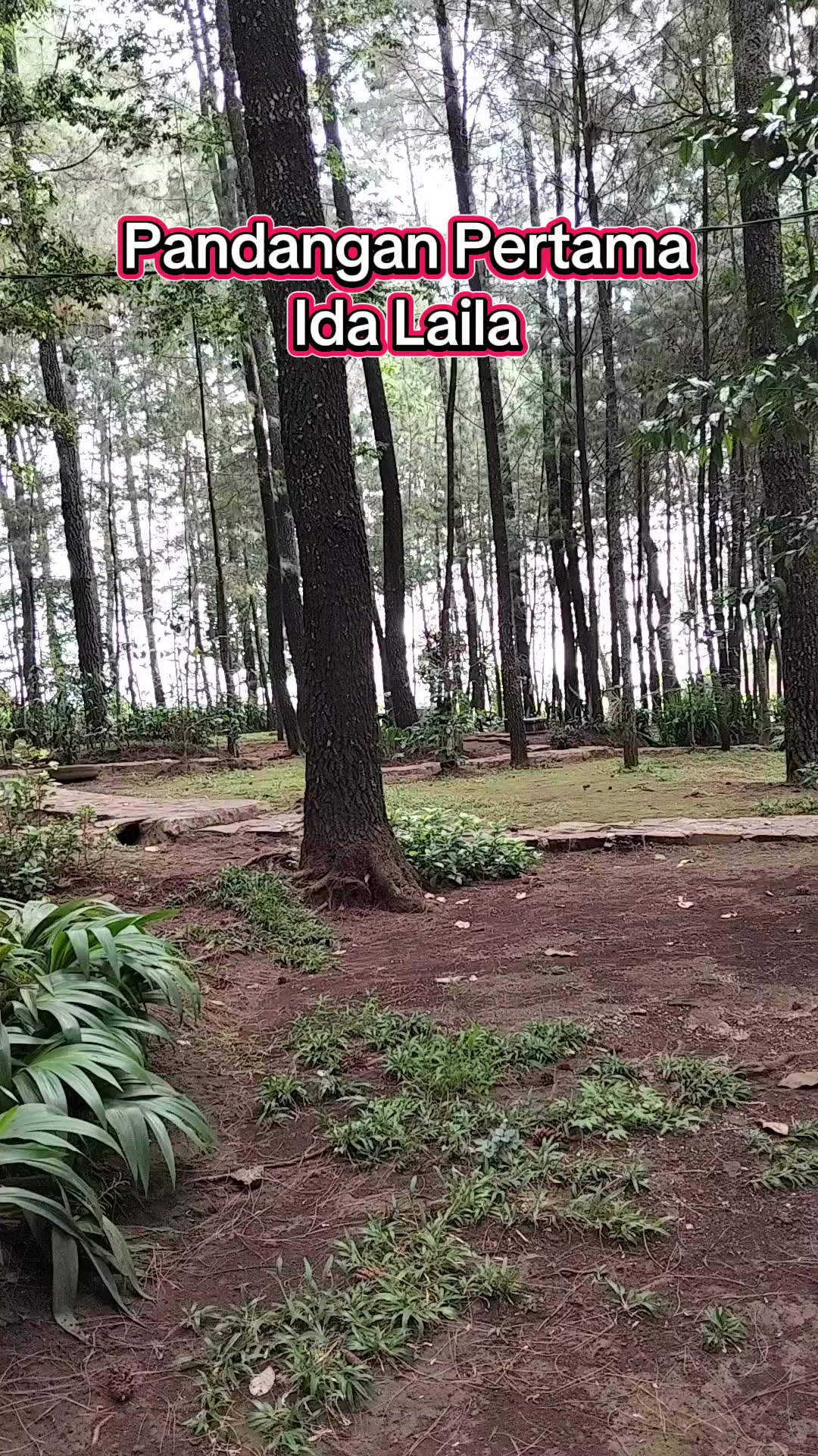 @DEDEN SUDJANI