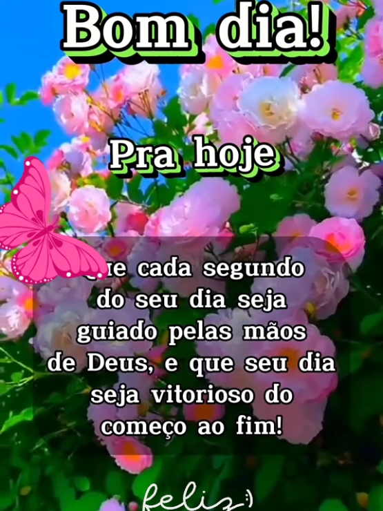 @Niube Resende💃👠📕🇧🇷🌻