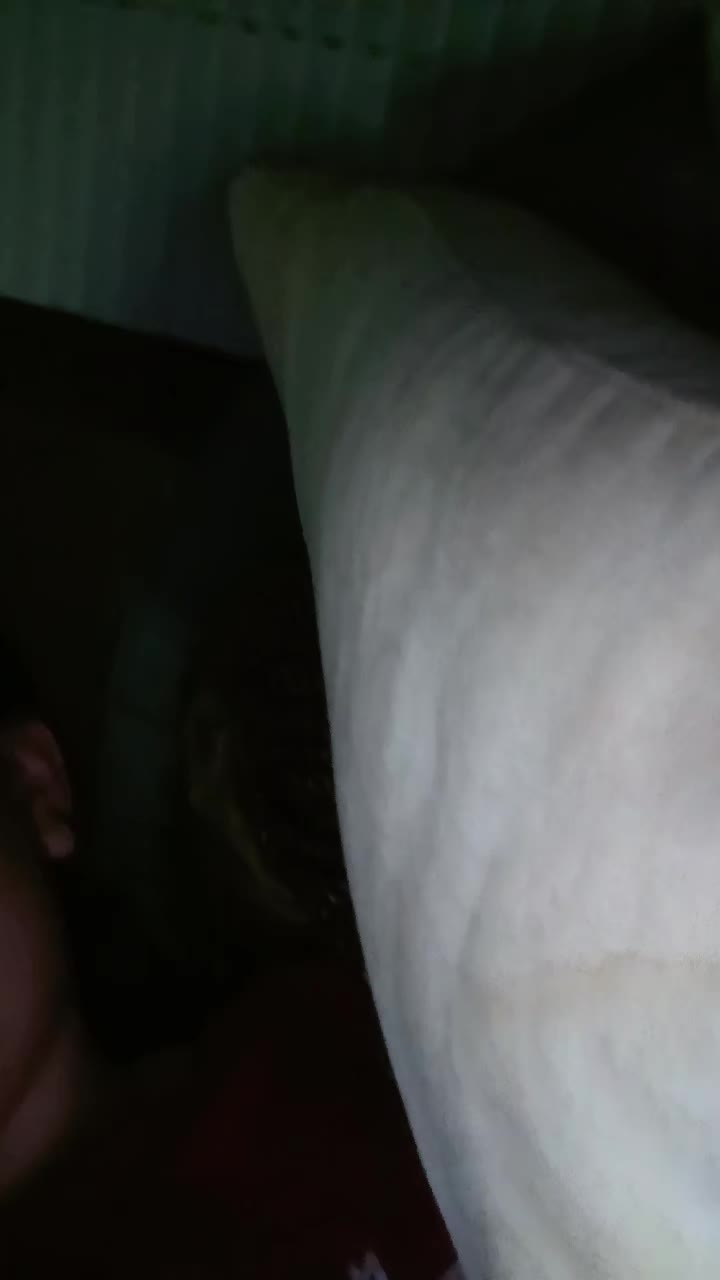 @hailyy