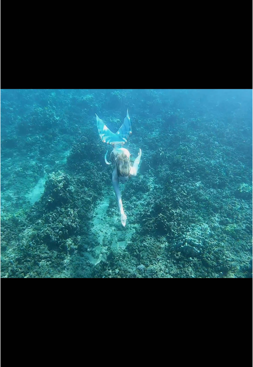 @💙Ruby🌊