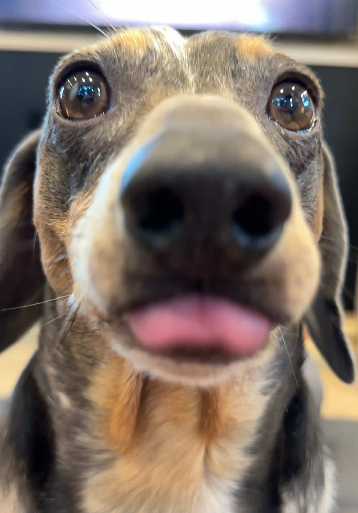 @Oscar The Wiener