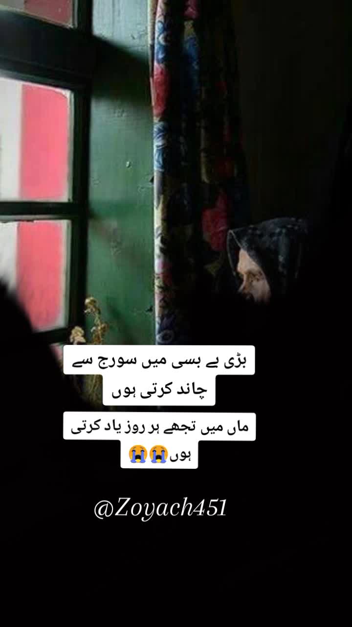 @ZOii..🦋