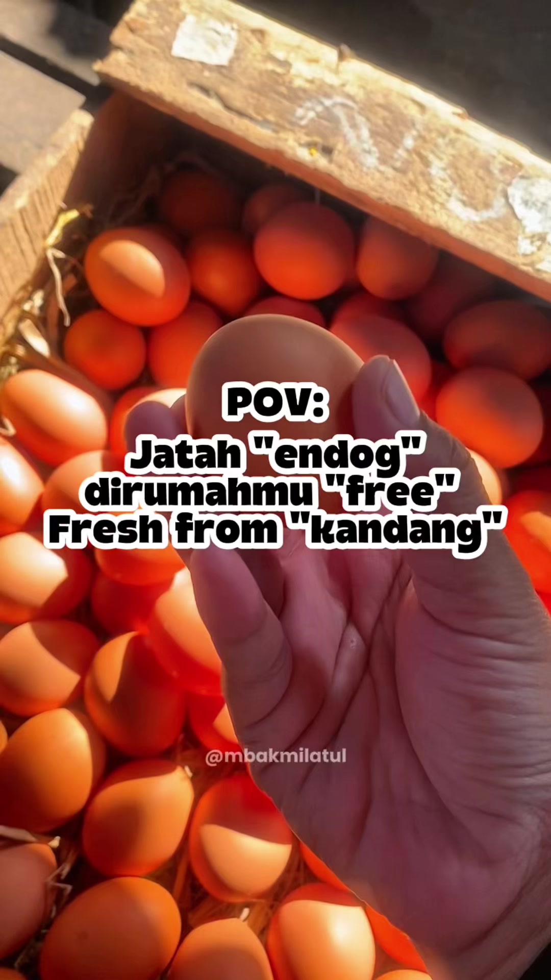 @mbakmilatul