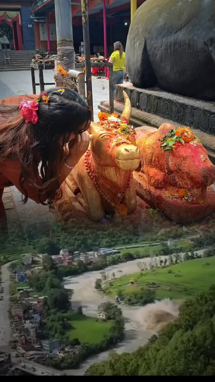@sarunepalbhandari