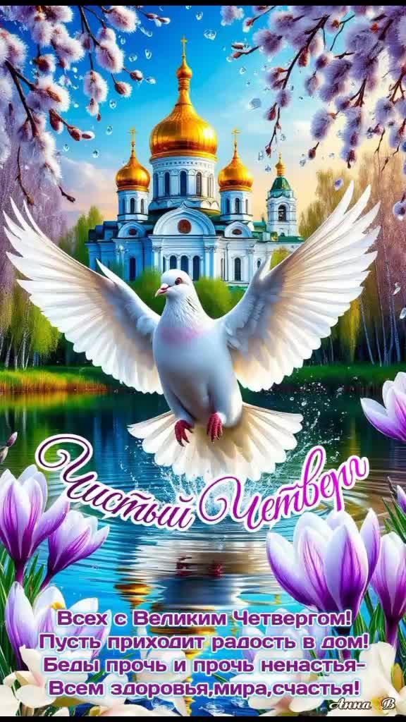 @Mira5951598112795