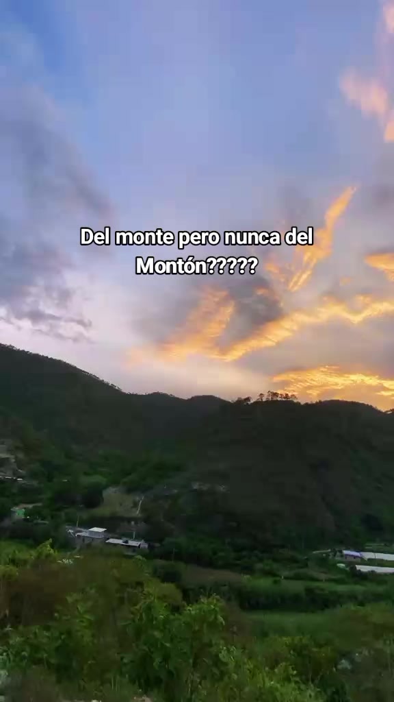 @solo motos Ariel 21
