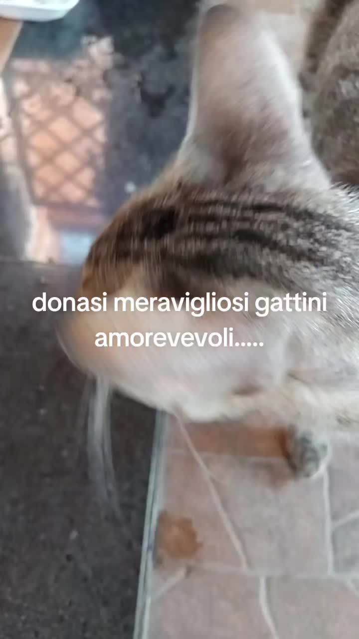 @vincenzoparasiliti2