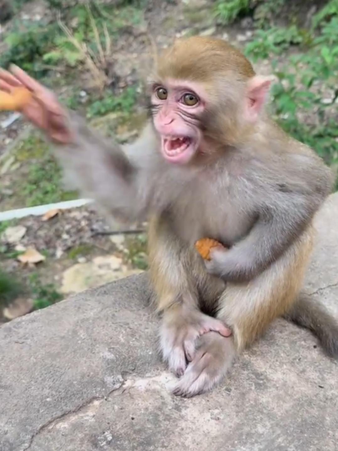 @monkeycaco77