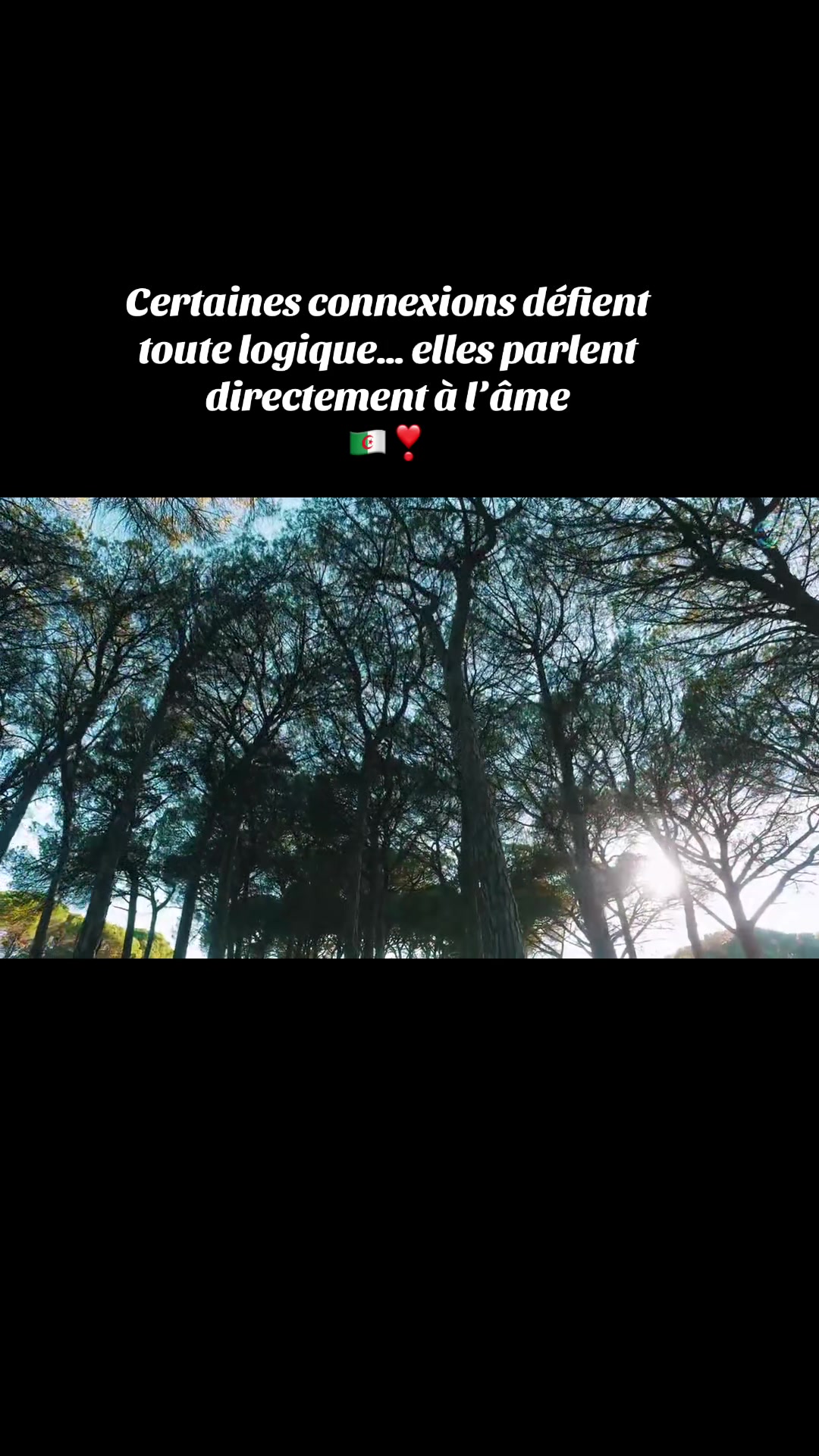 @Algéroise16
