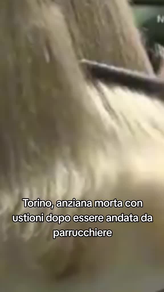 @♀️ᖴEᗪEᖇIᑕO♂️
