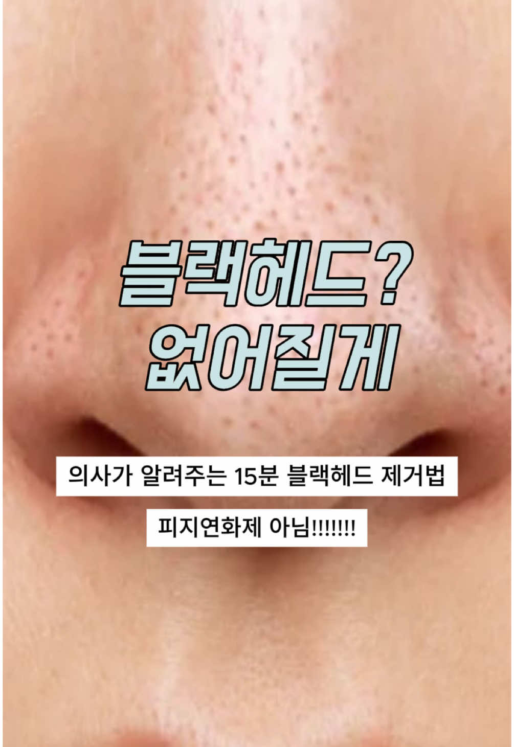 @닥터 헤일로