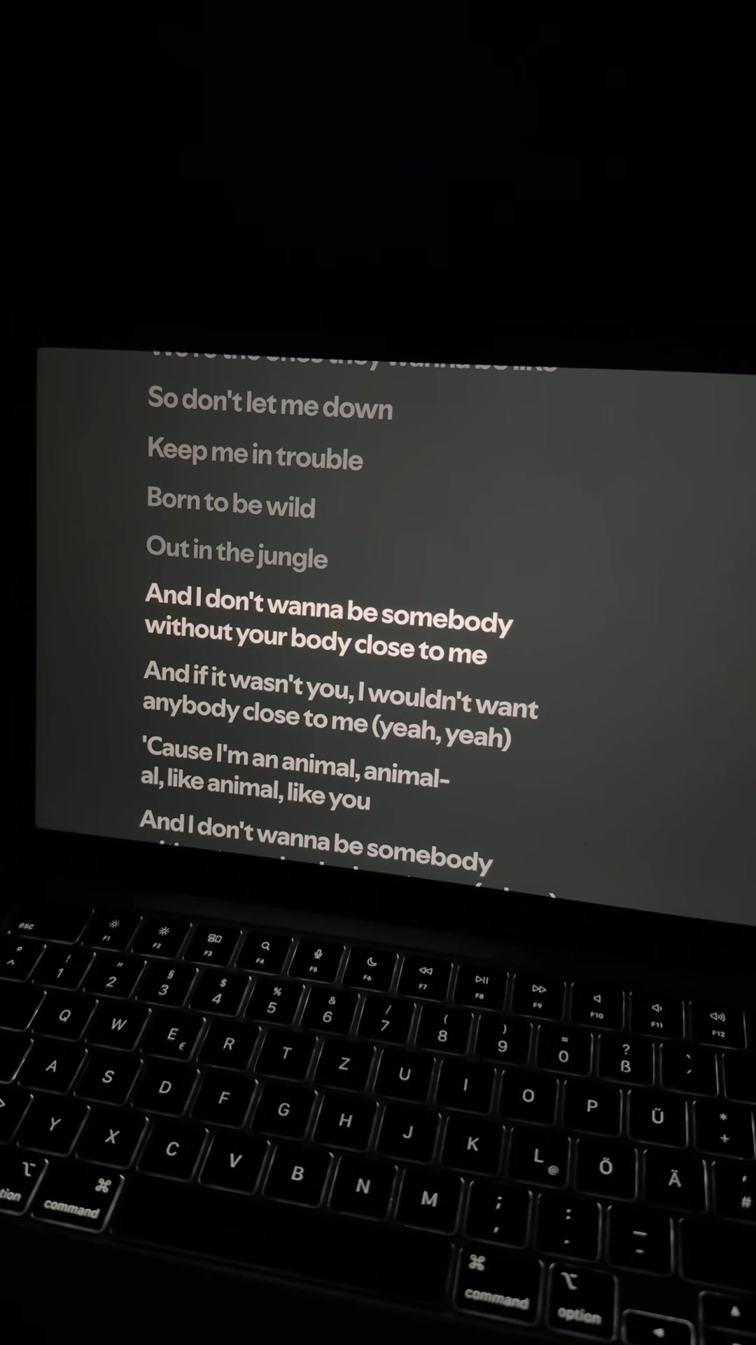@lyricshub